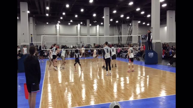Vortex Volleyball Setter #8