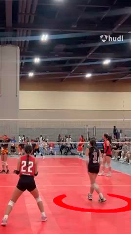 Volleyball Festival June 2025