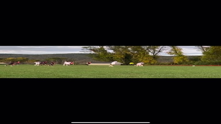 Video player poster image