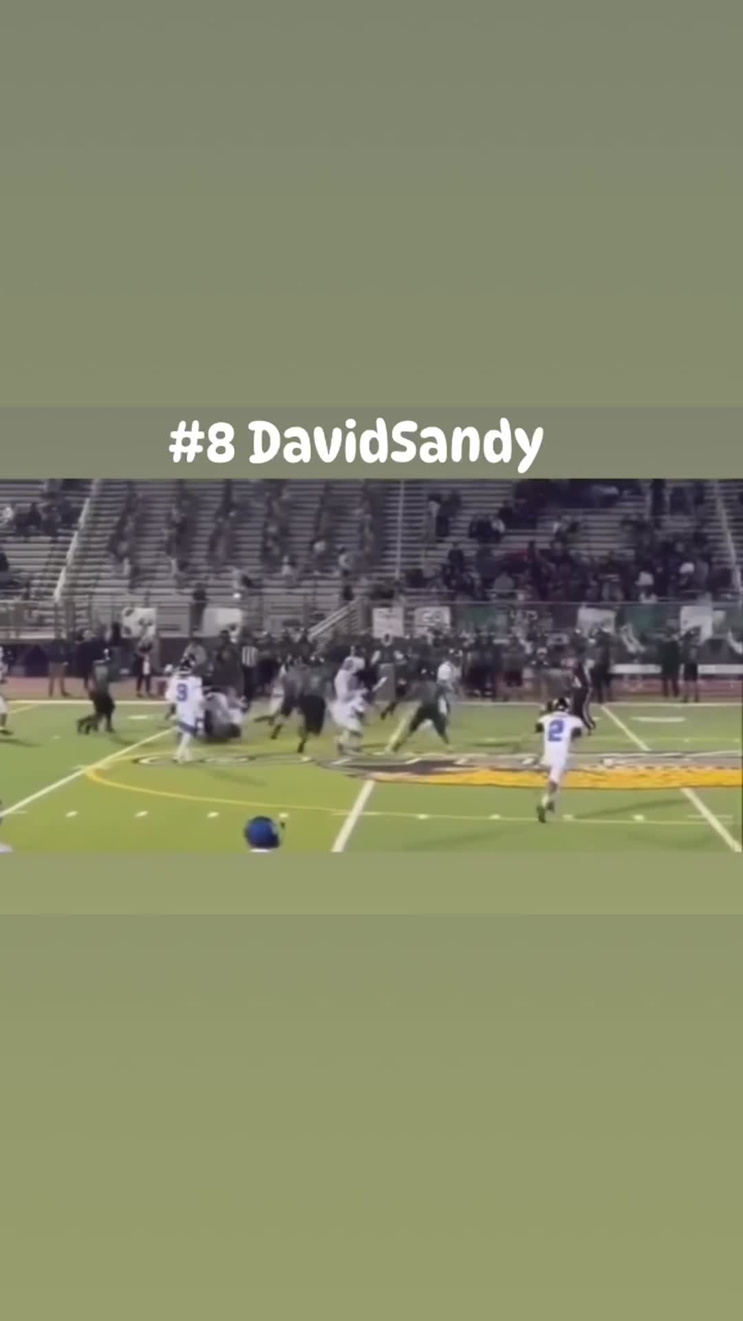 #8 David Sandy
