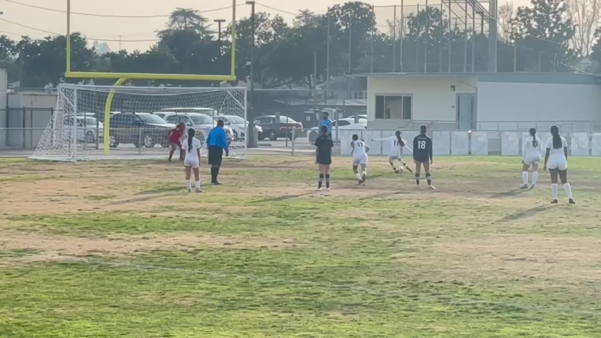 Schurr VS Alahambra