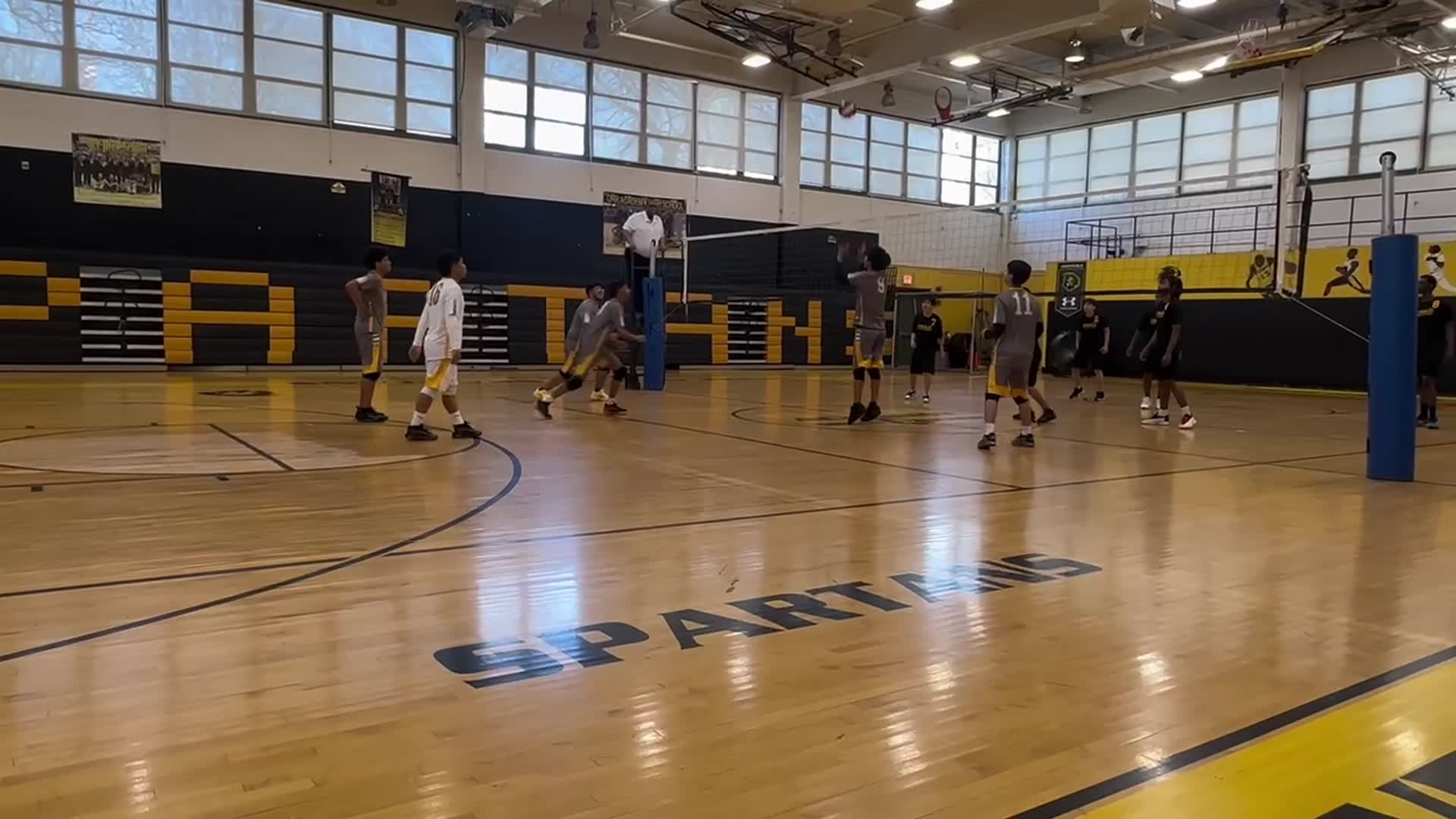 Freshman Dehian demota spikes the ball