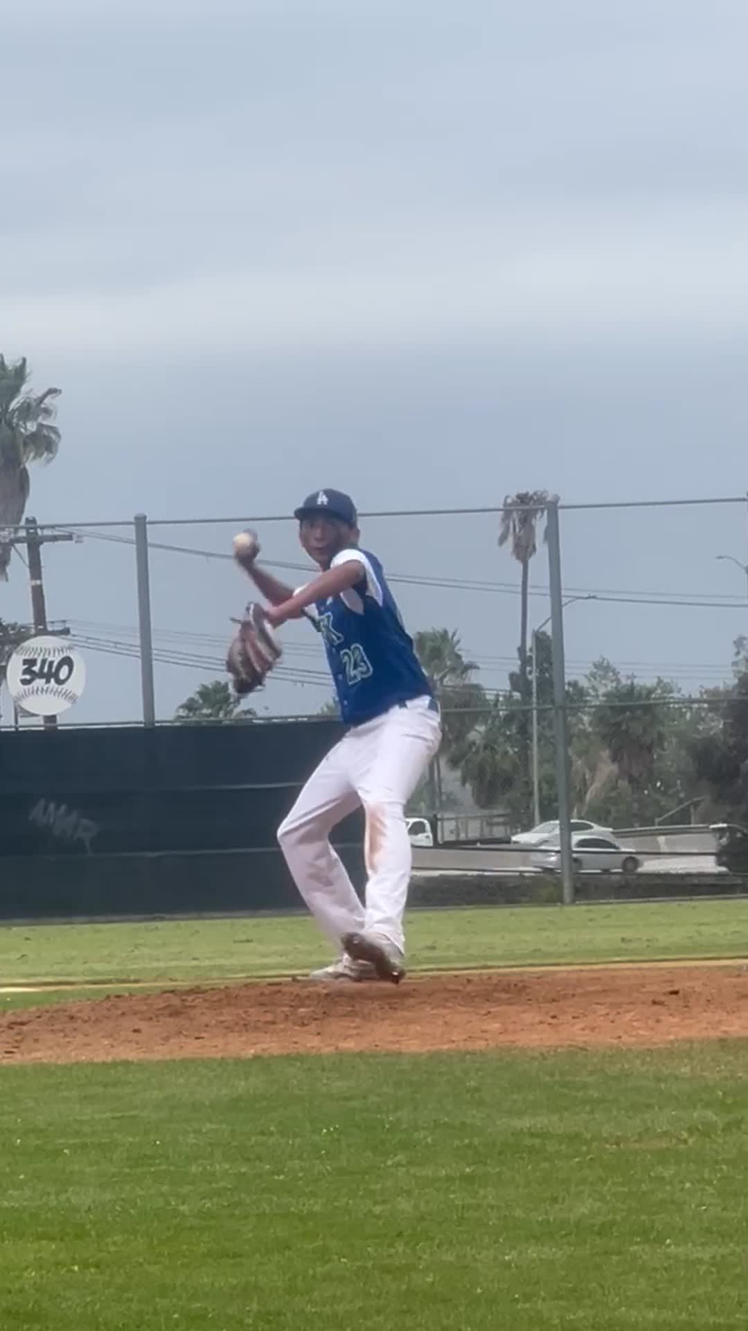 pitching vs roybal