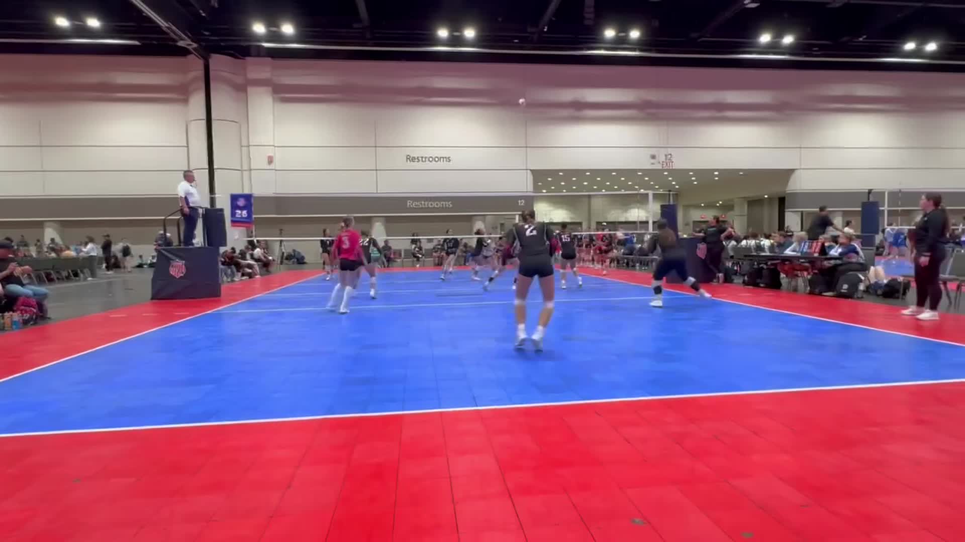 Zoey Armstrong Setter #14