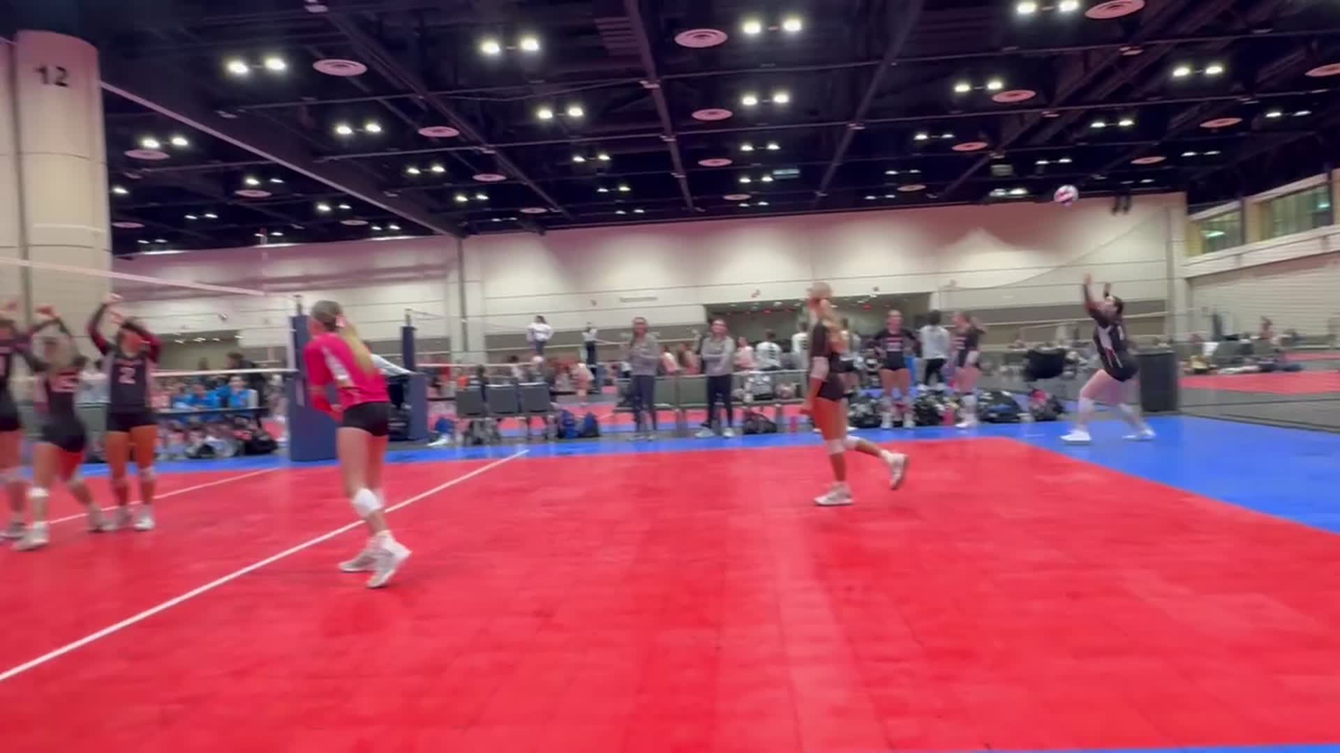 Zoey Armstrong #14 Ace