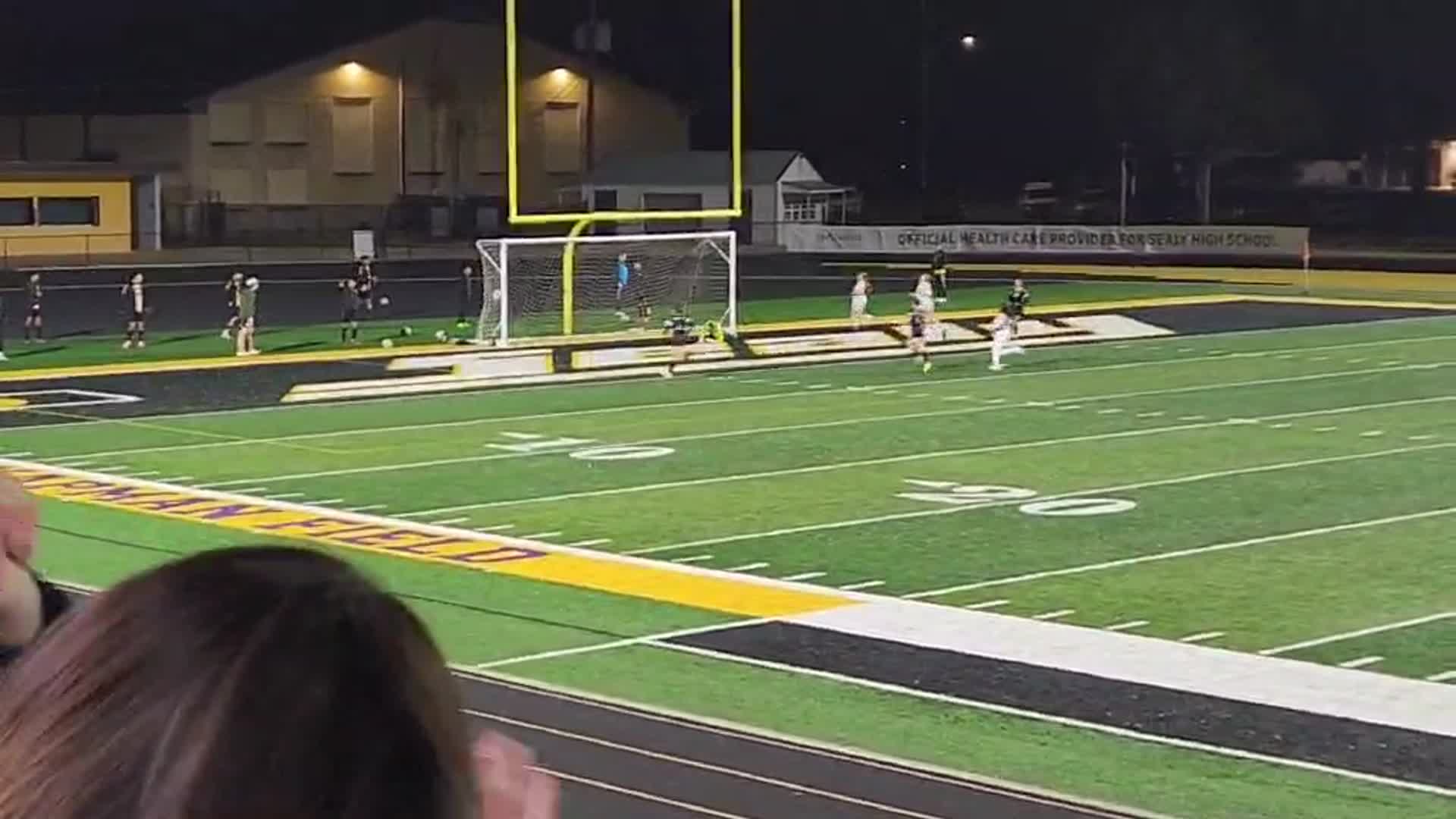 Dominique R. Castillo