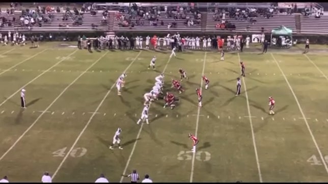 Multi yards