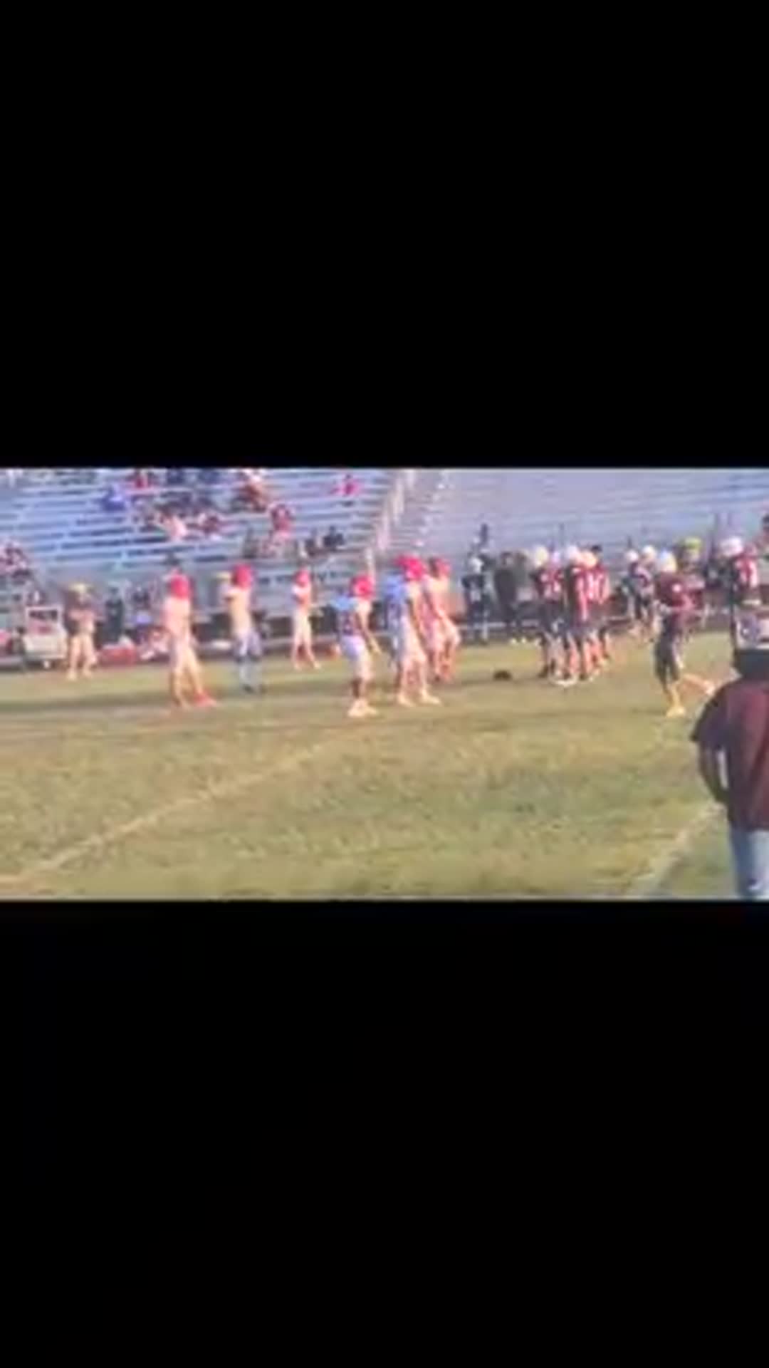 Albany Lions