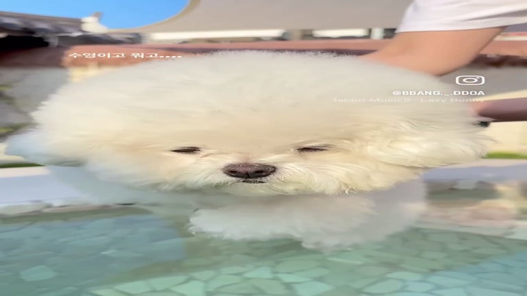 Video player poster image