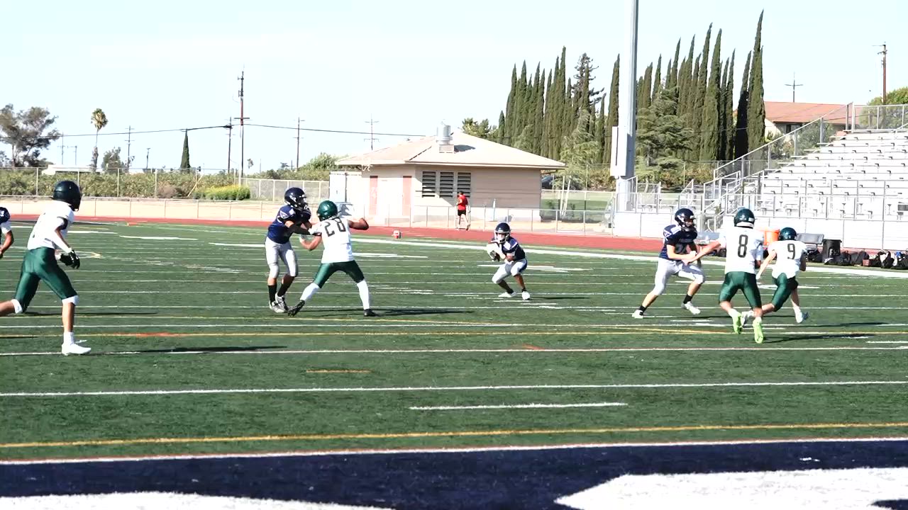 Pass for yards 20 yards run for touchdown.