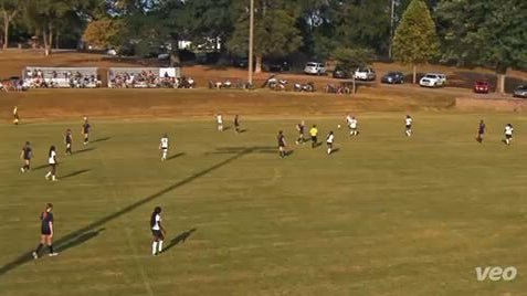Savanna with the break away