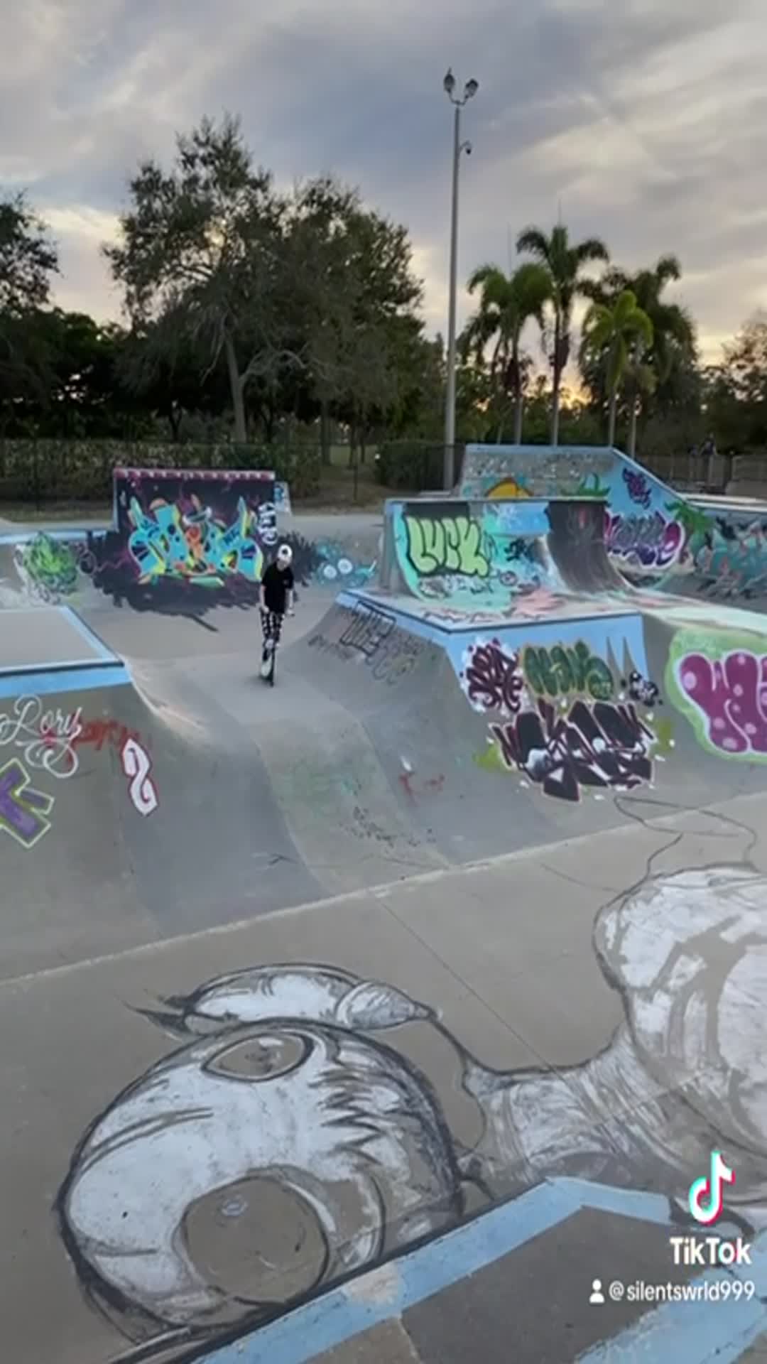 jv player Josh rouse dunks on 2 foot 3 giant