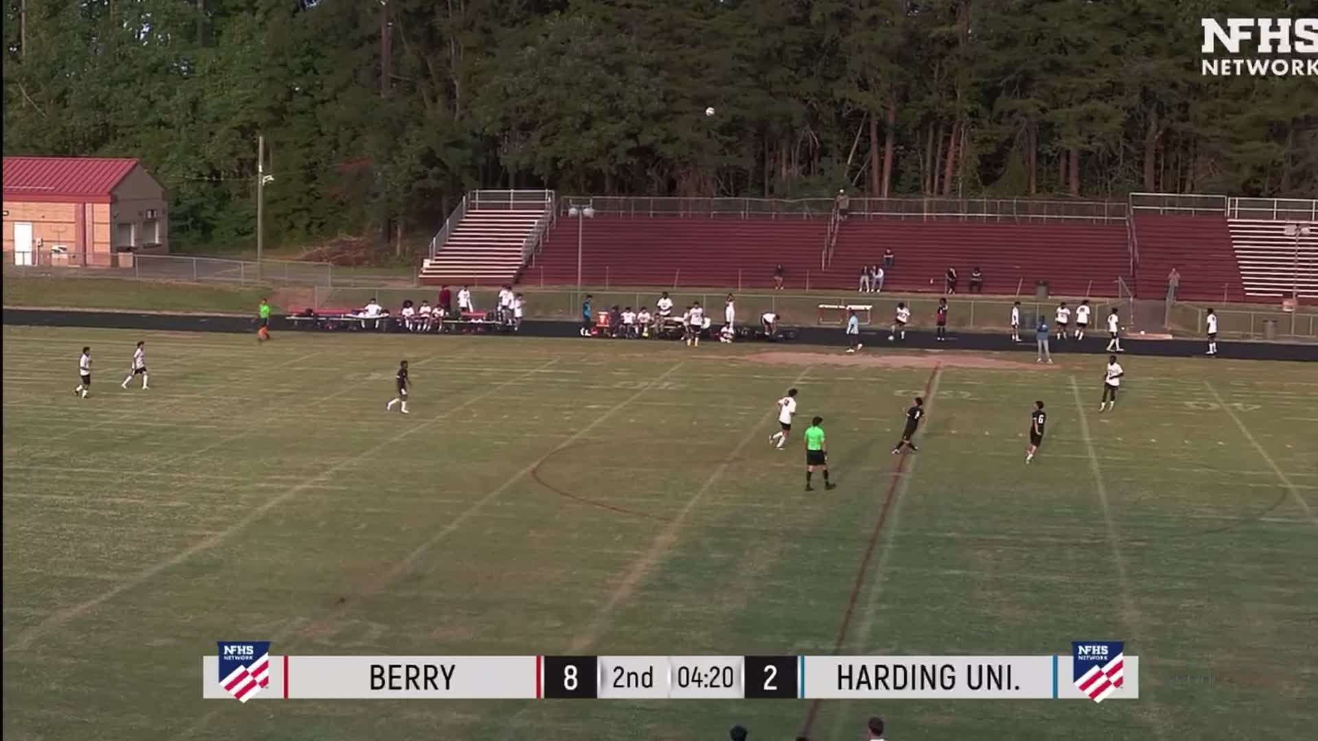 Harding vs berry