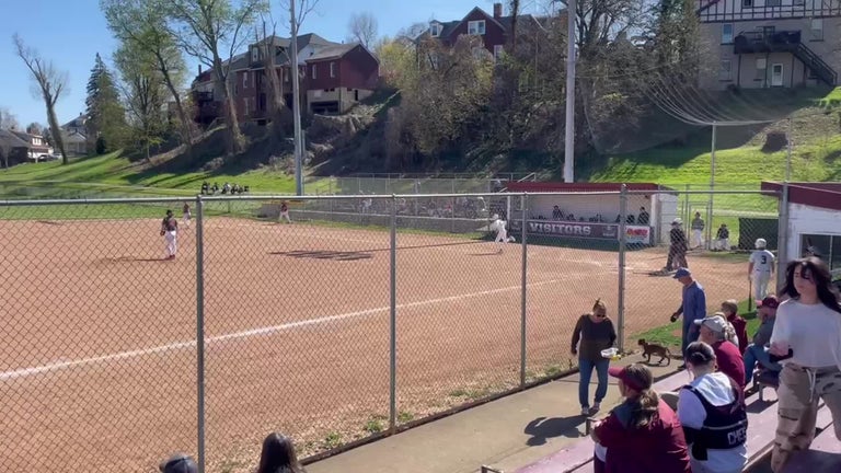 Video player poster image