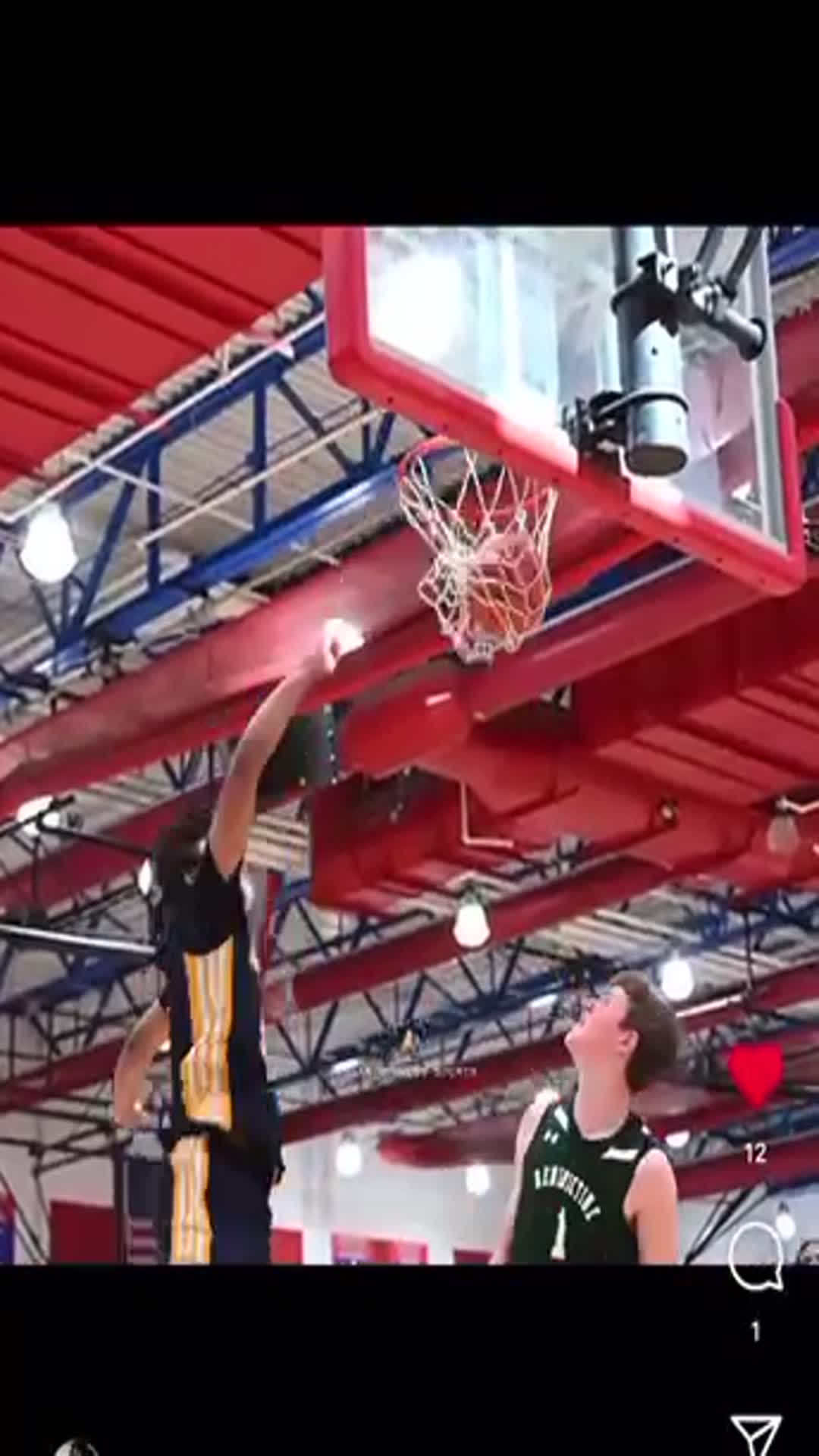 Visaa live period 2024 summer