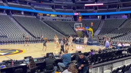 Ball Arena 5