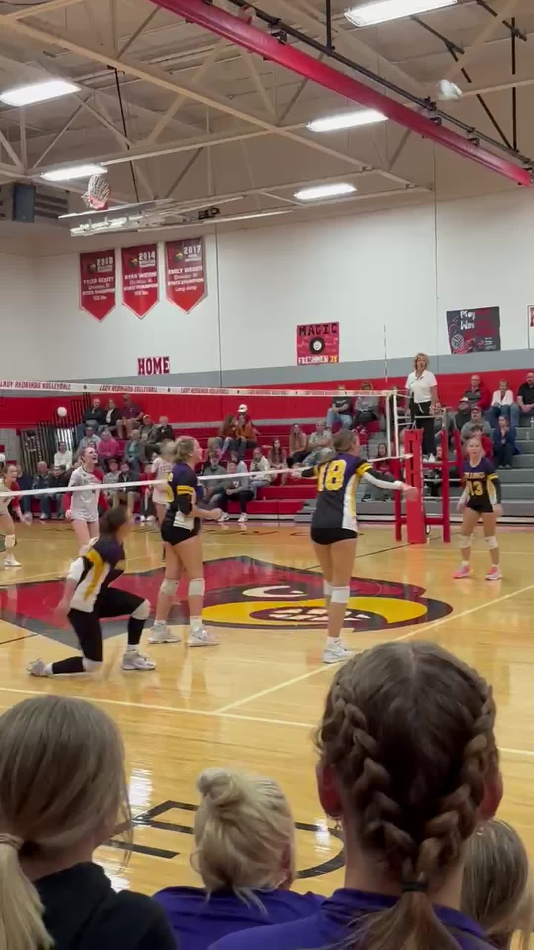 out of the net dig