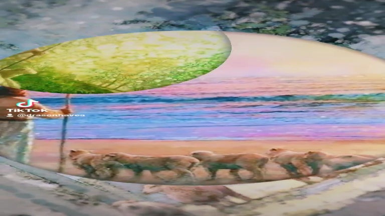 Video player poster image