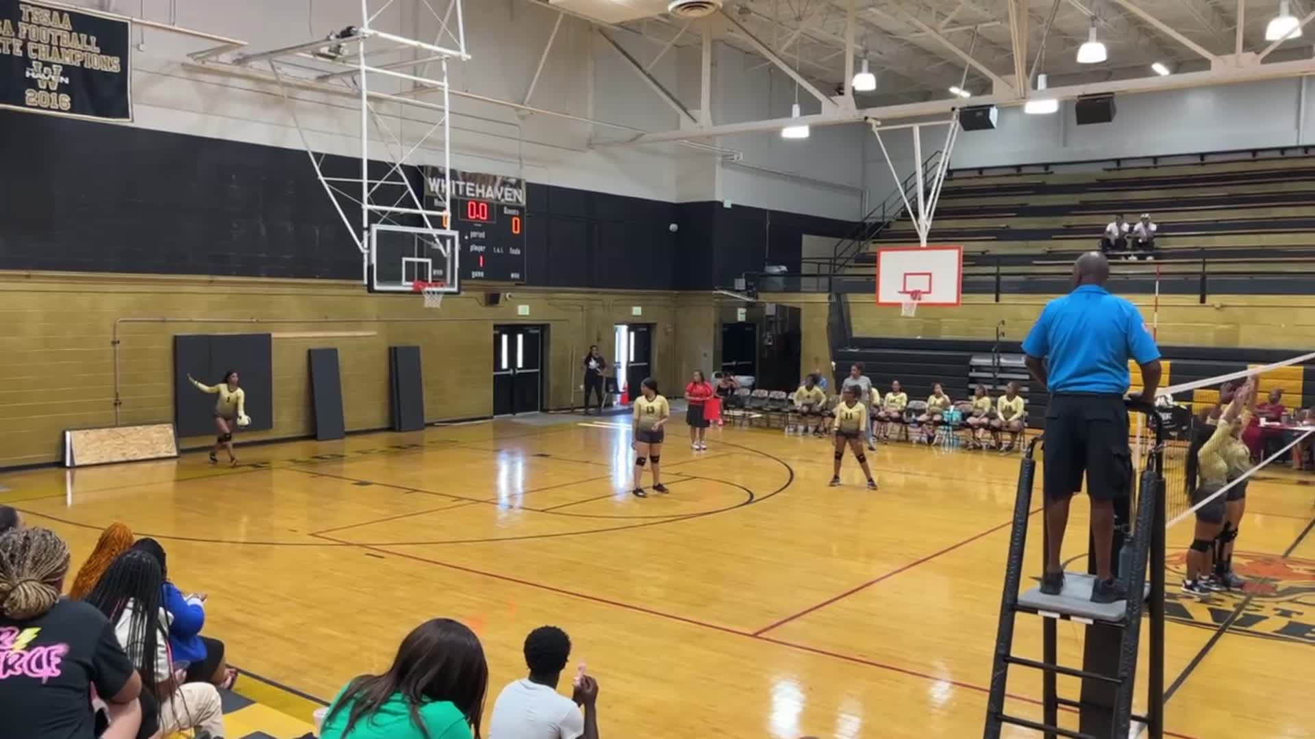 Whitehaven Highlights, 08/17/2023