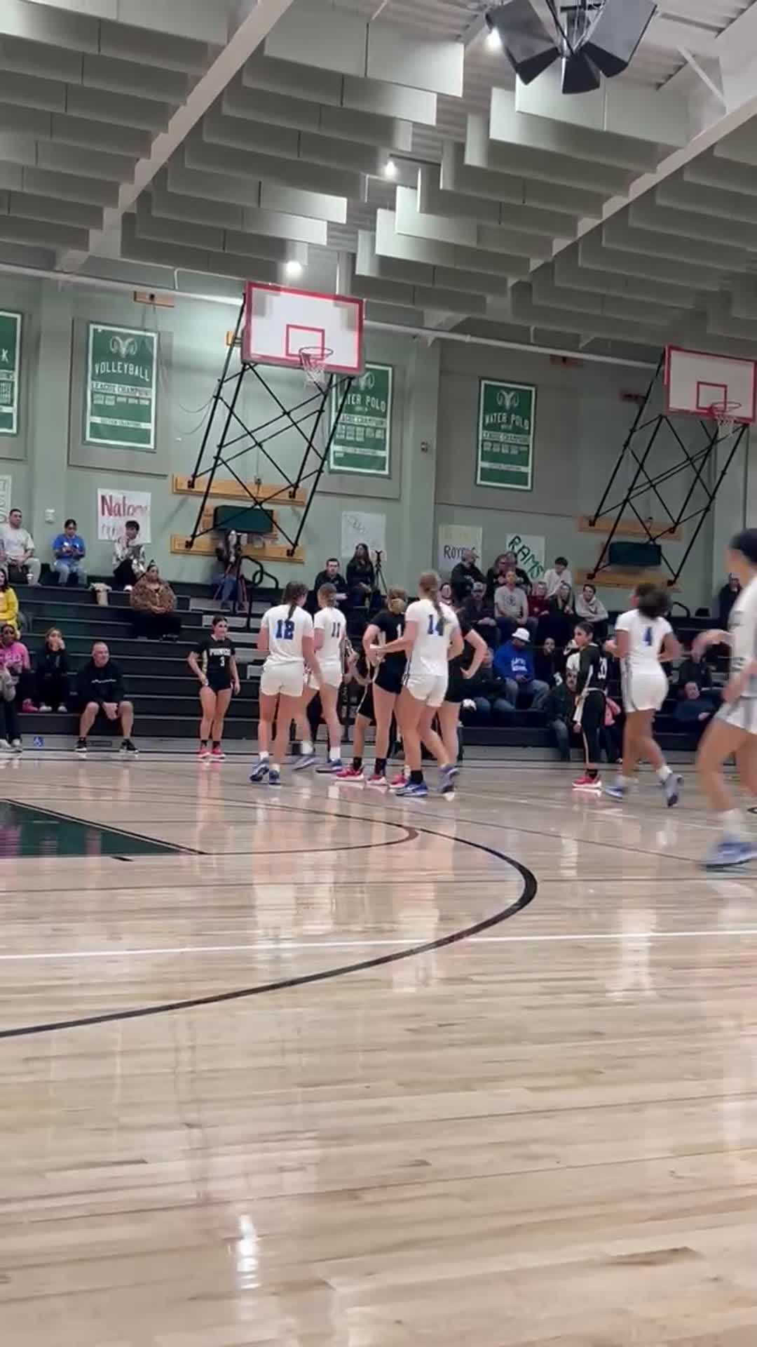 Game winning 3 with 3 seconds left to beat the Davis Blue Devils.