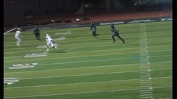 Phenomenal clean Block on Santiago high Defender