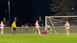 Save vs. Woods Charter