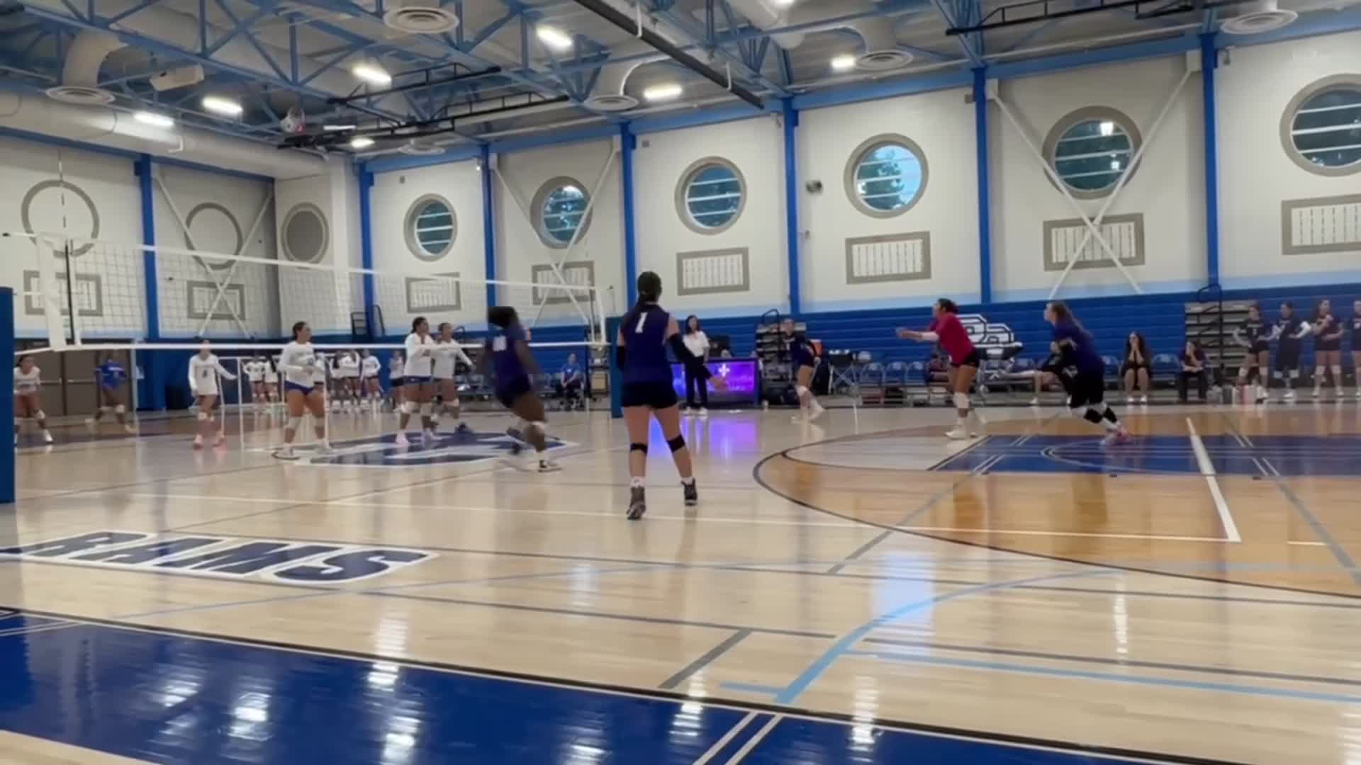 Alicia Acevedo #21 libero New Rochelle vs Port Chester