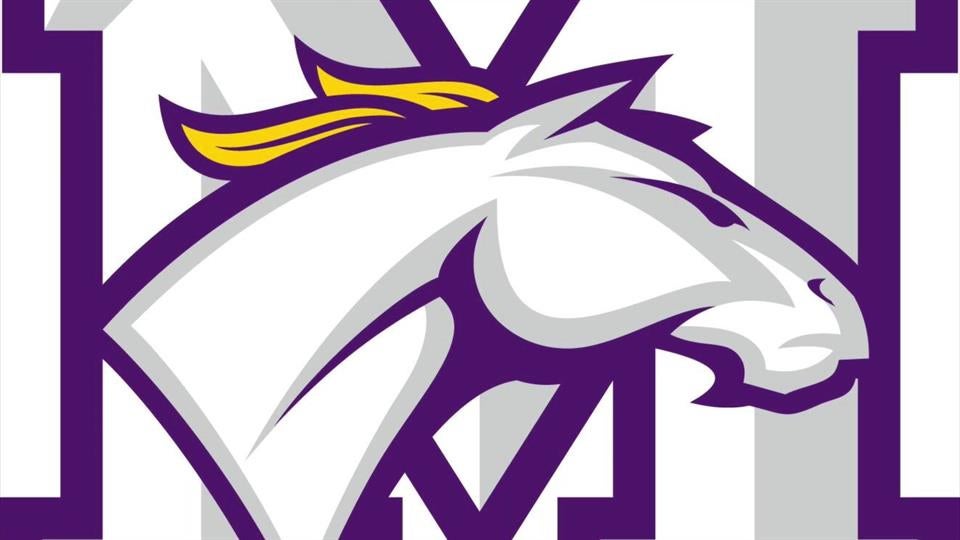 Rolling Meadows Mustangs Basketball