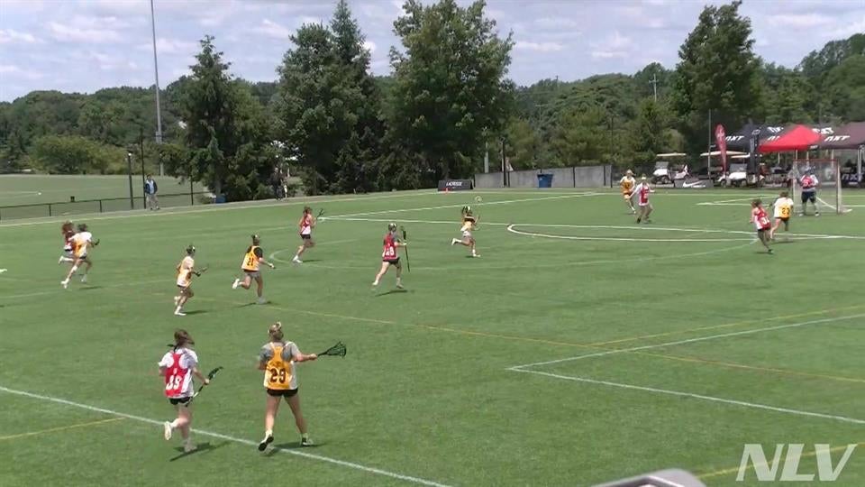 NXT Action in the cage