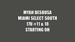 Miami Select South 17U