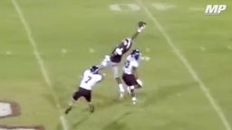 5-Star WR Tee Higgins makes insane one-handed grab