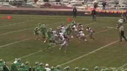 DCC vs Delta Highlights