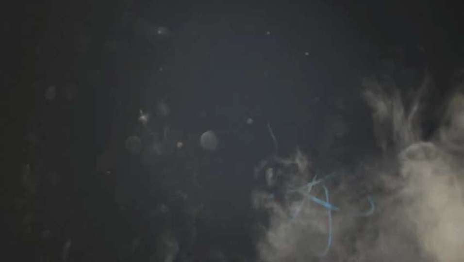 Action Recap: Verona wins State Finals over Cresskill at Giants Stadium