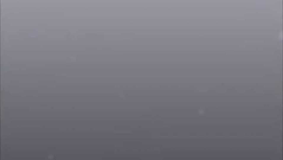 Sr. WR/DB/KR Myron Johnson