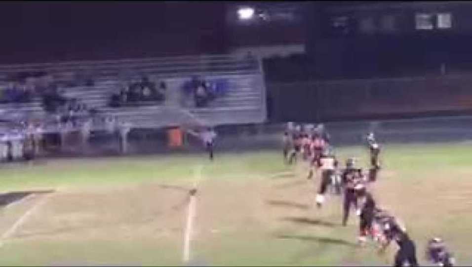 Nuzzolilo highlights