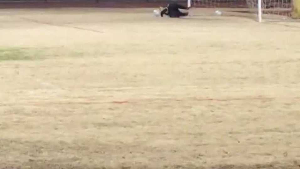 IMPERIAL Vs palo verde  PK