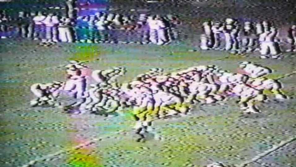 Ryan Sweet (WR) from Scott Nead (QB) 1992