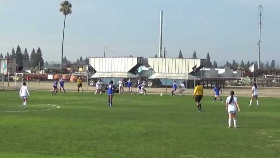 Aspen's Punch Save & Highlights