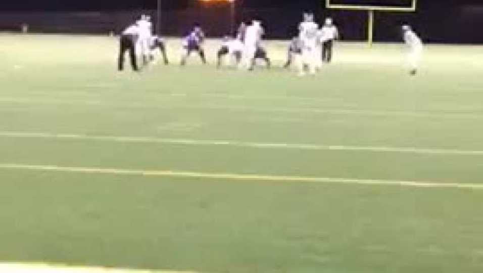 Mario Rama #2 TD Catch Vs. Nat Green