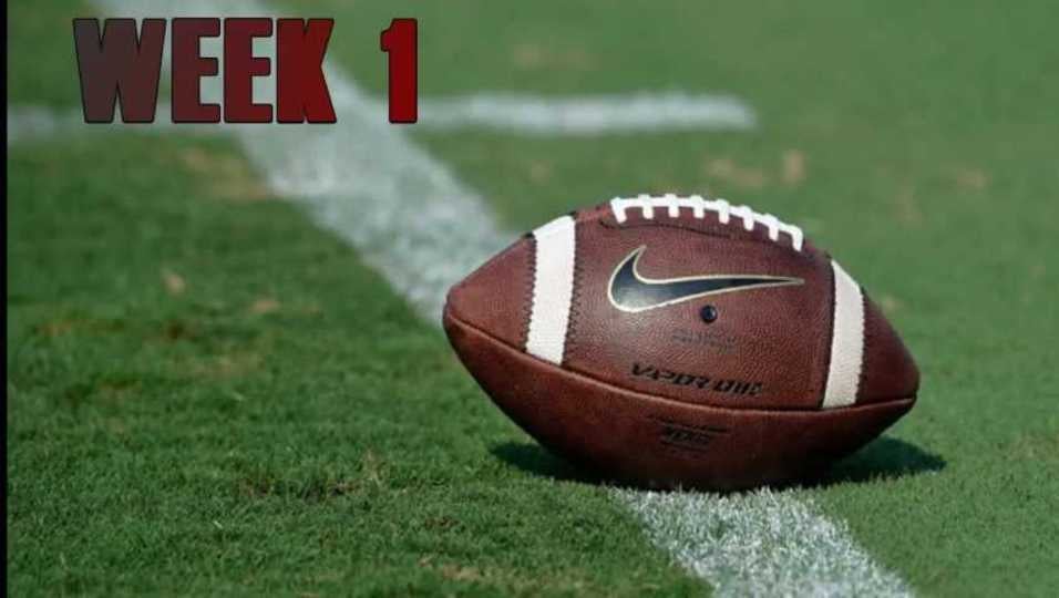 White Oak highlights vs New Diana 2016