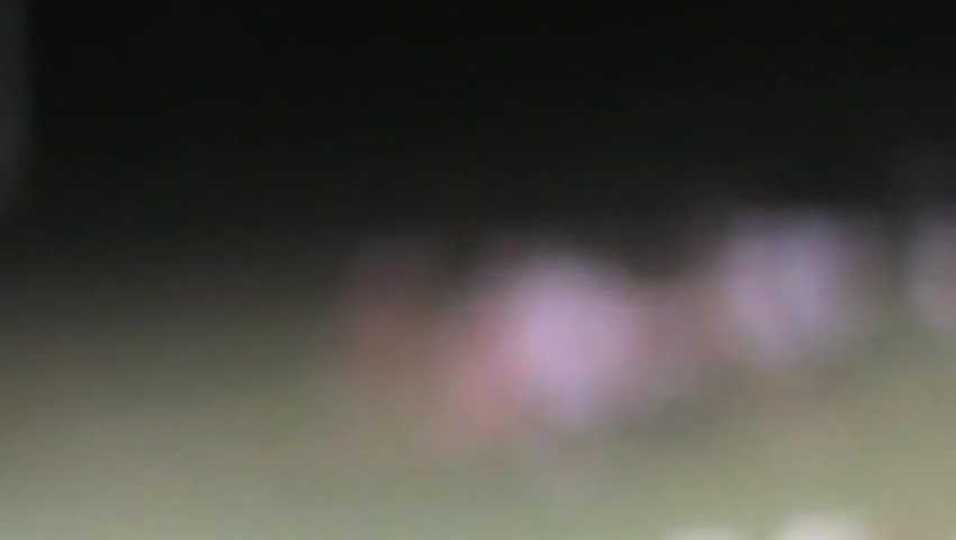 Donaldson Sack Safety