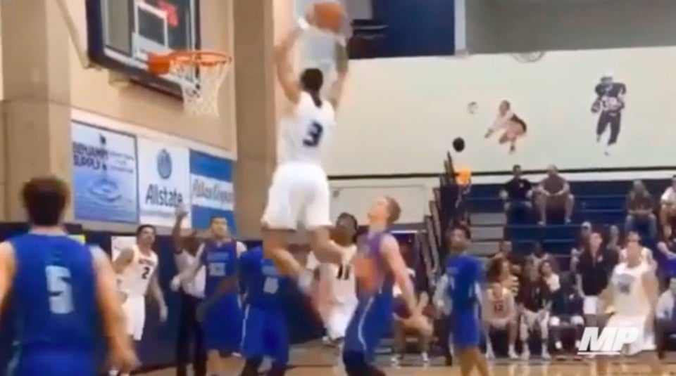 Kwintin Williams Ultimate Highlights