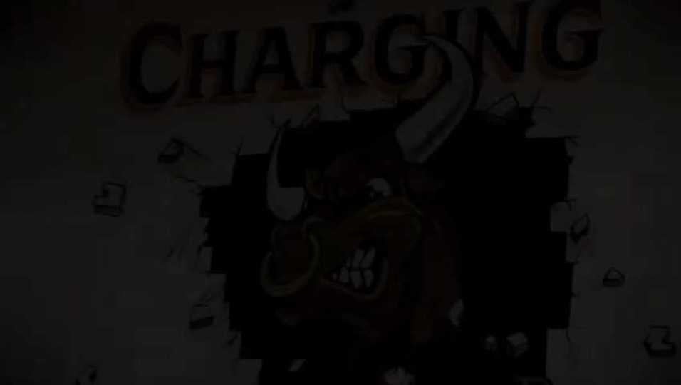 Chargin' Bulls