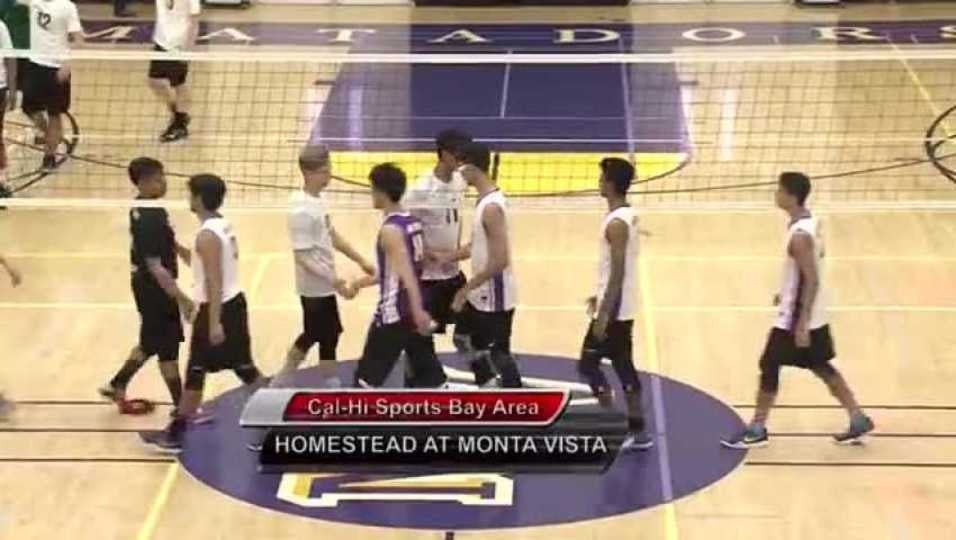 Homestead at Monta Vista 2016-2107