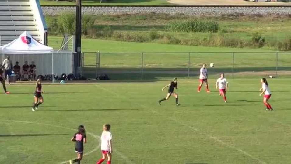 Goal by Darby Gillette