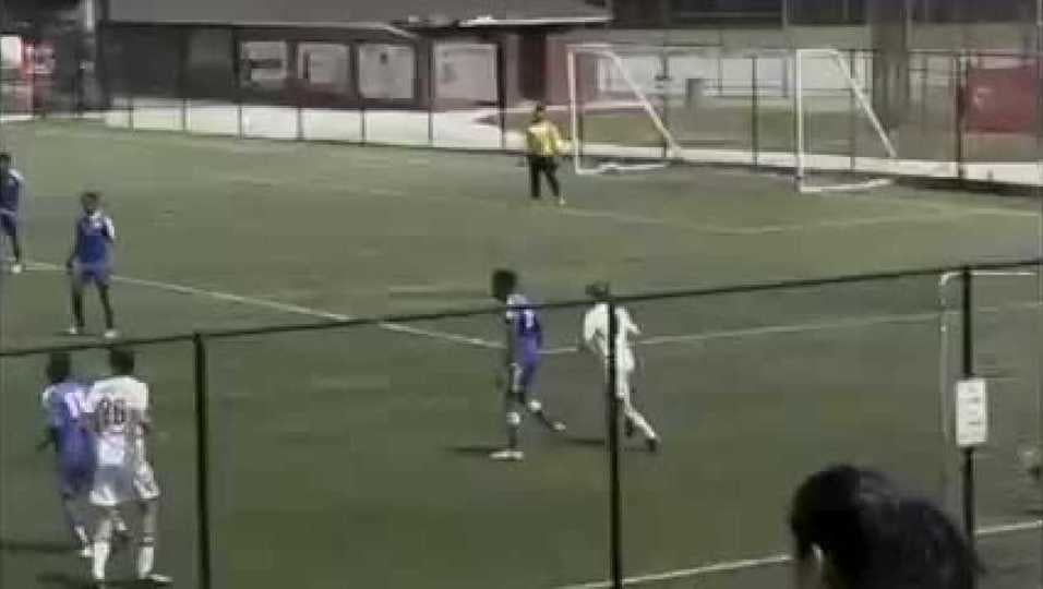 Stuart Howard Highlights