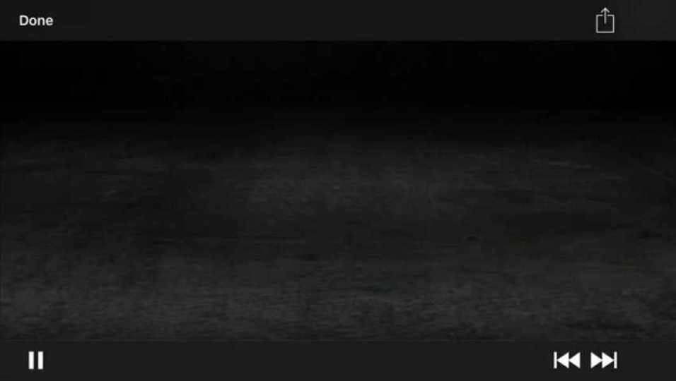 Michael Jackson III Freshman Highlights