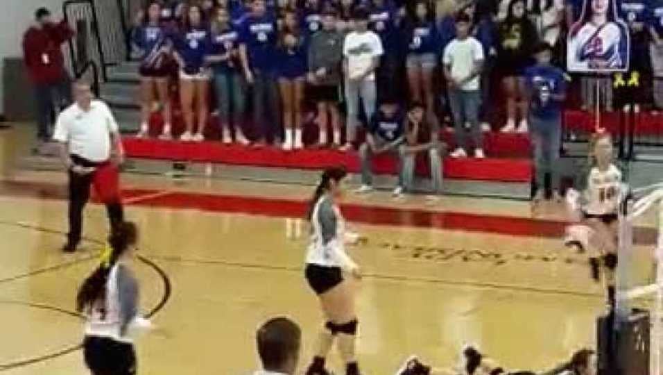 Pioneer vs Mission Vets