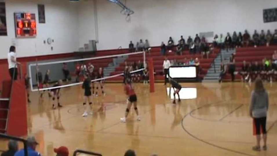 Ellsworth - setter dump II