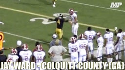 Jay Ward - 2018 Highlights